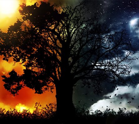 Low Vitamin D may not be about Day light but rather about Darkness