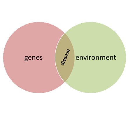 Genetics Vs. Environment