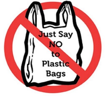 green polystyrene should not be banned essay green polystyrene should not be banned essay