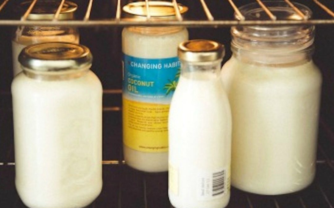 Homemade Yoghurt