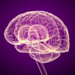 leptin, leptin resistance, hormones