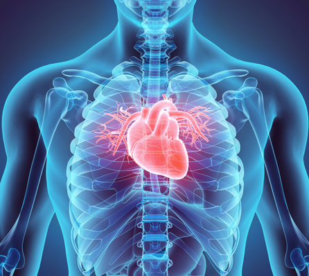 How to Help Prevent Heart Disease