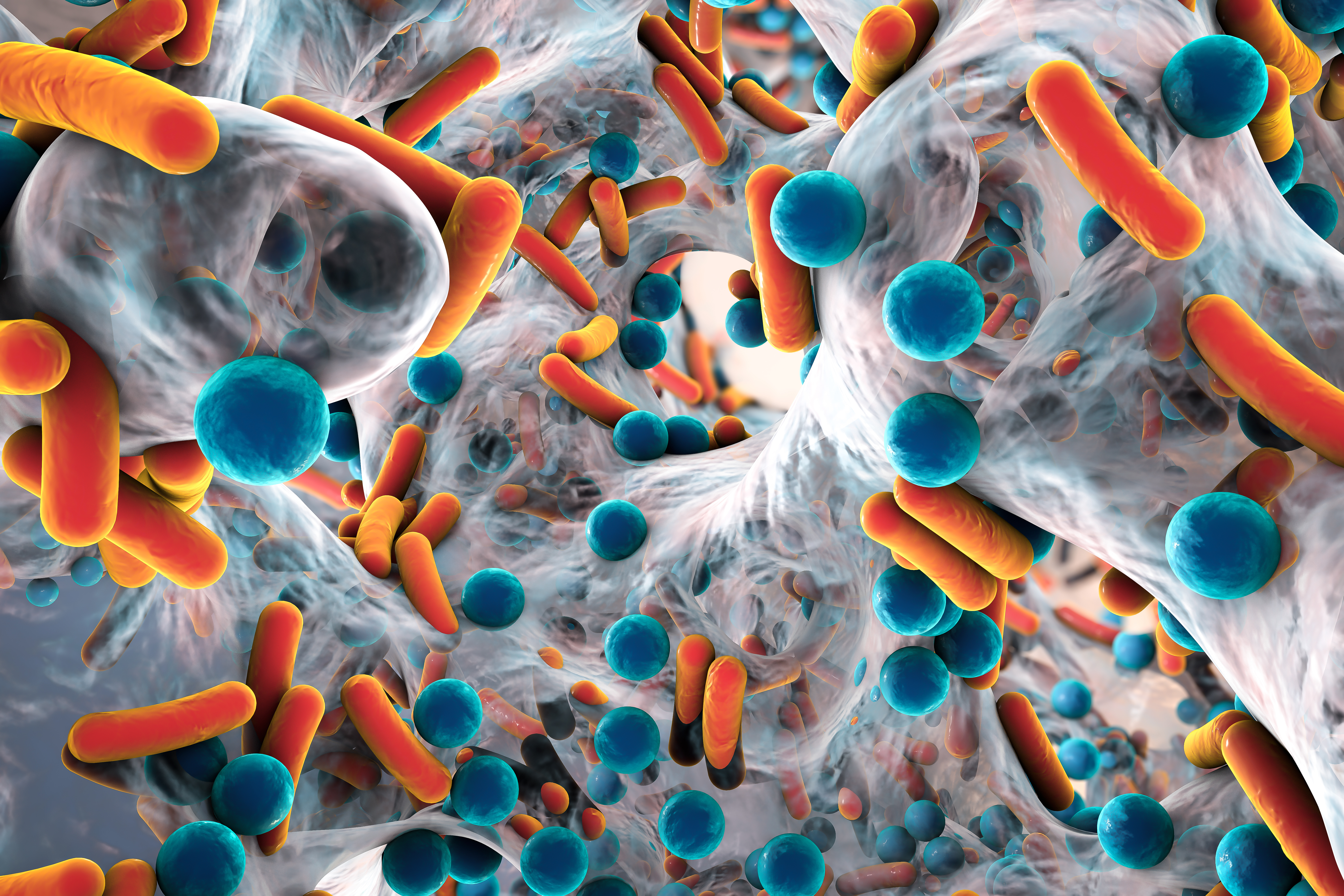 What is Biofilm and How Can it Affect the Health of My Gut?