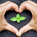 Organic_Nutrient_Dense_ChangingHabits