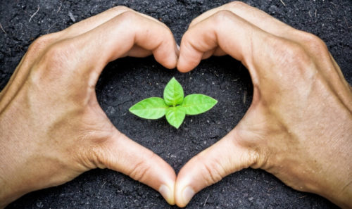 Organic_Nutrient_Dense_ChangingHabits