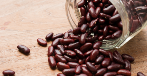 lectins-the-fat-loss-protocol