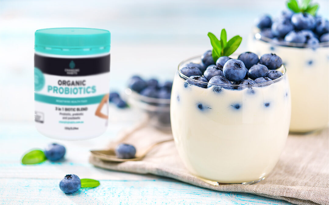 Probiotic Greek Style Yoghurt