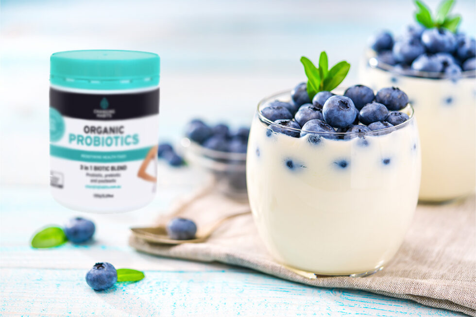 Probiotic Greek Style Yoghurt Changing Habits