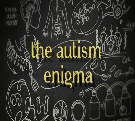 The Autism Enigma