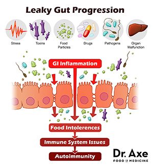 Leaky gut progression